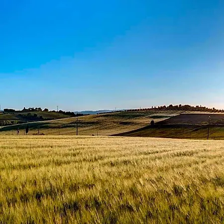 Spacious Tuscan Otel